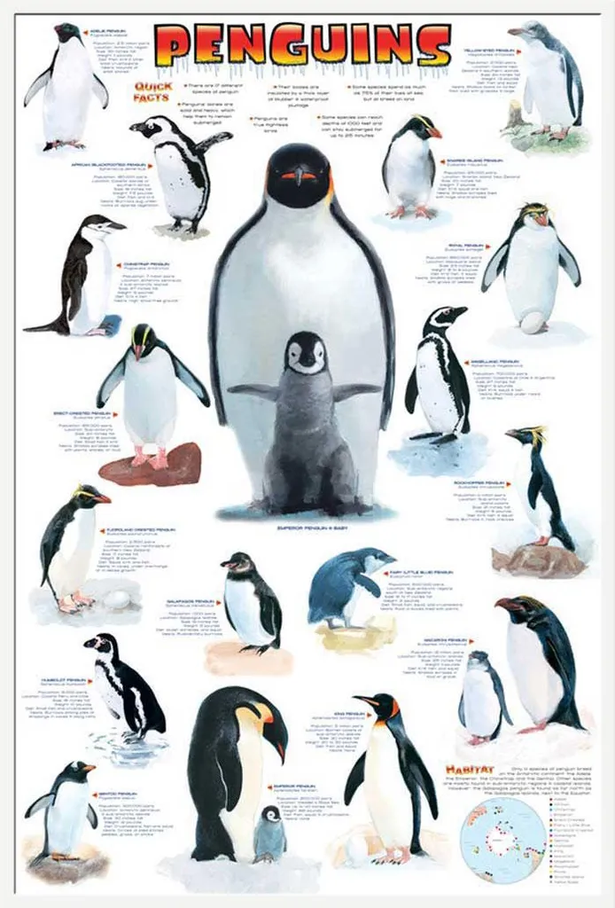 Poster Pingouins avec Cadre à Insert Blanc Shinsuke et Vitre Acrylique