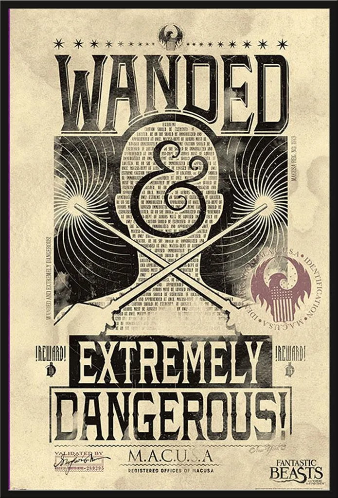 Poster Encadré Les Animaux Fantastiques Avis de Recherche Cadre Noir Maxi