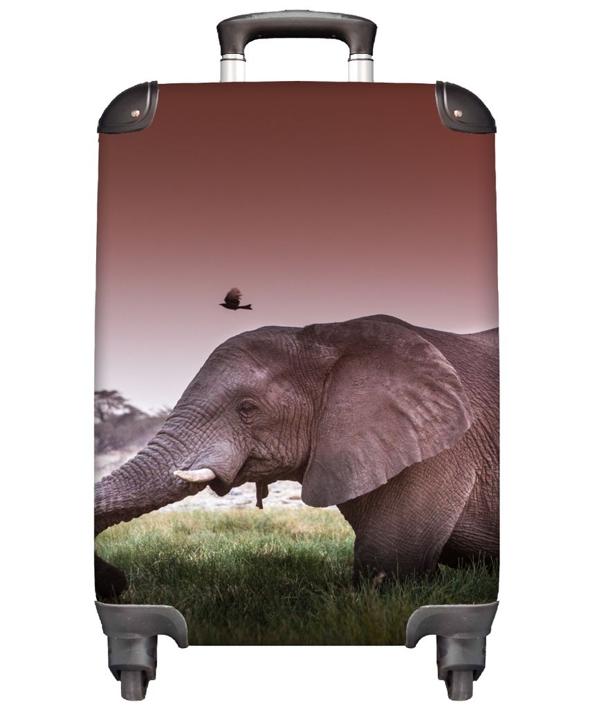 MuchoWow Koffer Handgepäck Trolley Rollkoffer Kleine Reisekoffer mit 4 Rollen - Elefant - Gras - Sonne - Tiere - Cabin Size < 55x40x23 cm & 55x4...