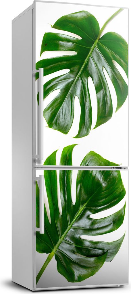 Tulup Kühlschrankdekoration - 70x190 cm - Aufkleber auf dem Kühlschrank - monstera