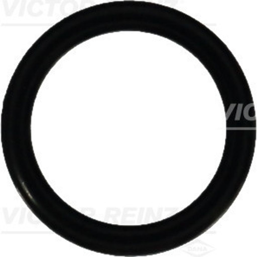 REINZ Dichtring 40-76337-00 für BMW 3 Limousine (E46) 2,5mm NBR (Nitril-Butadien-Kautschuk) 15mm 20mm