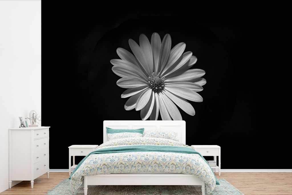 MuchoWow Fototapete für Wohnzimmer oder Schlafzimmer Wandtapete Vinyl Motivtapete Ein weißes Gänseblümchen auf schwarzem Hintergrund - 420x28...