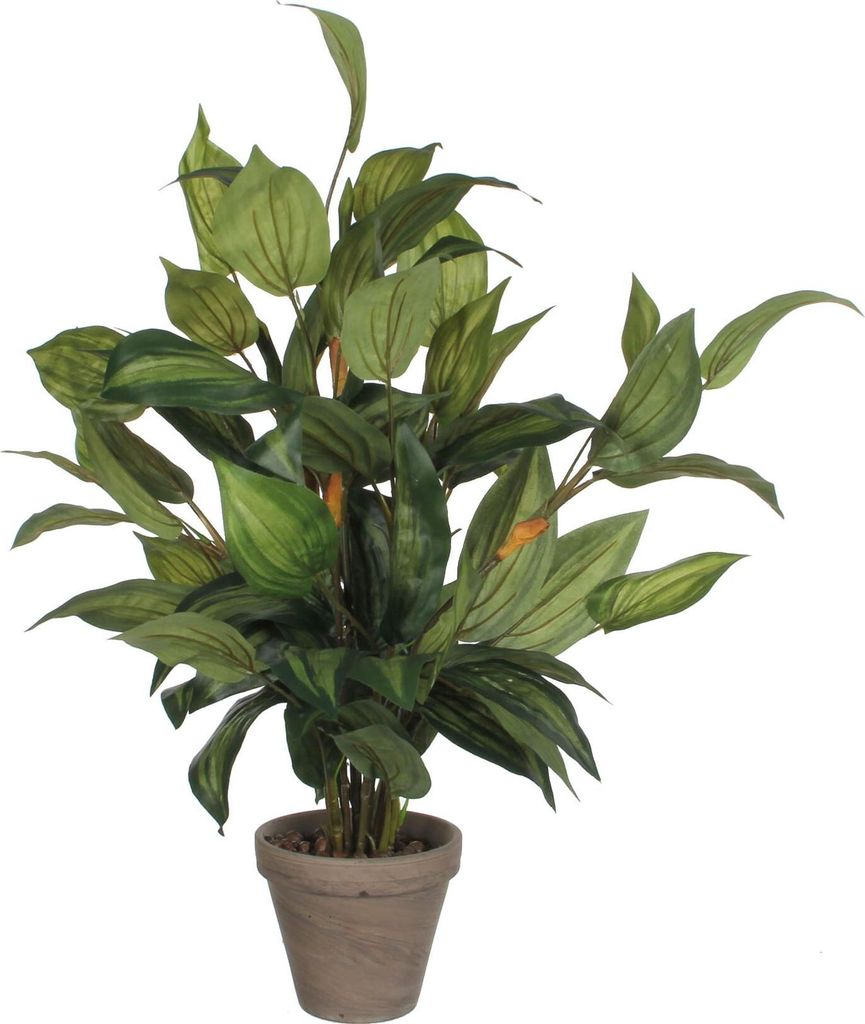 Sztuczna roślina Mica Decorations Hosta - H65 x Ø40 cm - Zdjęcie produktu 
