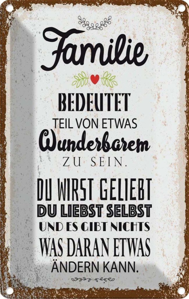 vianmo Blechschild 30x20 cm Familie Teil von etwas wunderbarem Spruch Zitat