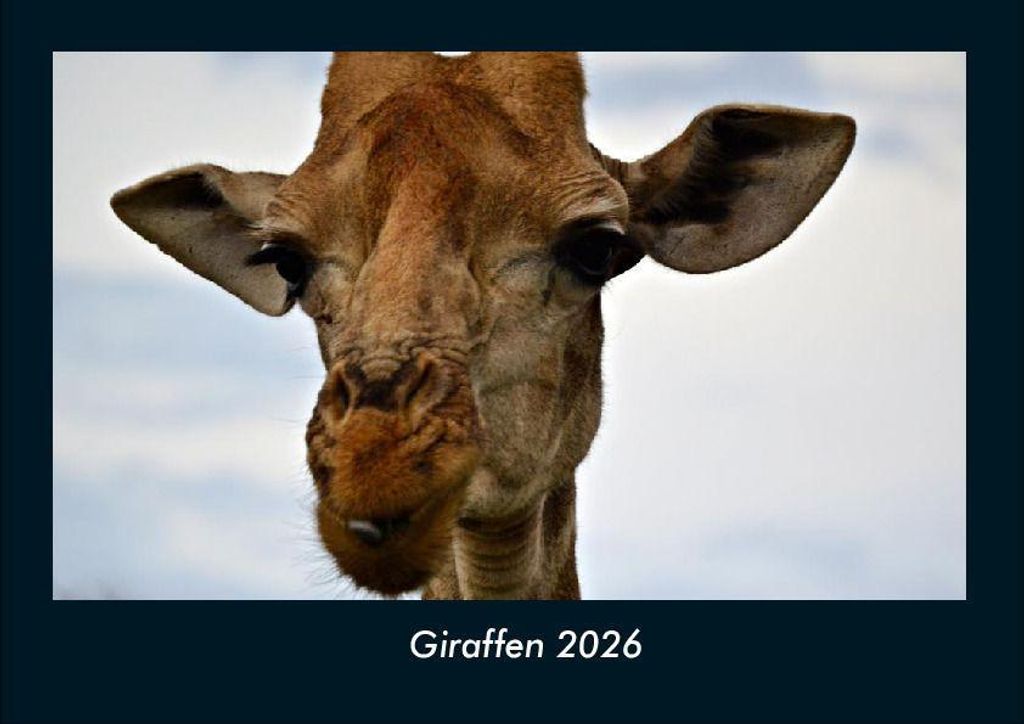 Giraffen 2026 Fotokalender - Querformat DIN A4, Monatskalender mit Bild-Motiven von Haustieren, Bauernhof, wilden Tieren und Raubtieren