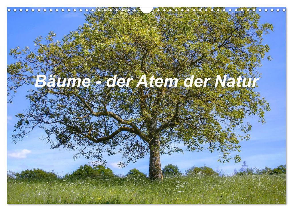 Bäume, der Atem der Natur (Wandkalender 2027 DIN A3 quer), CALVENDO Monatskalender
