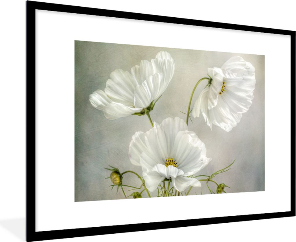 MuchoWow Gerahmtes Poster Blumen - Stillleben - Mohn - Weiß - Botanisch 90x60 cm - Poster mit Schwarzem Bilderrahmen Wandposter Rahmen Foto Bild...