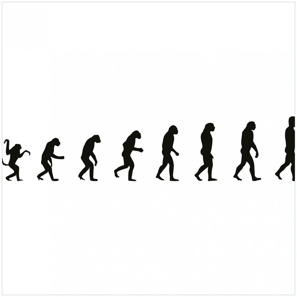 Wallario Memoboard Magnettafel aus Glas, Größe 50 x 50 cm, Motiv Evolution - Die Entwicklung des Menschen