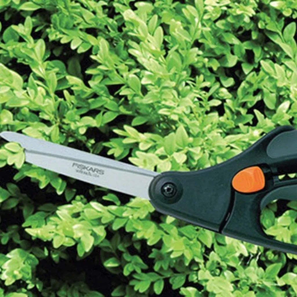 Cisaille à buis manuelle et sculpte-haie pour finitions de jardin