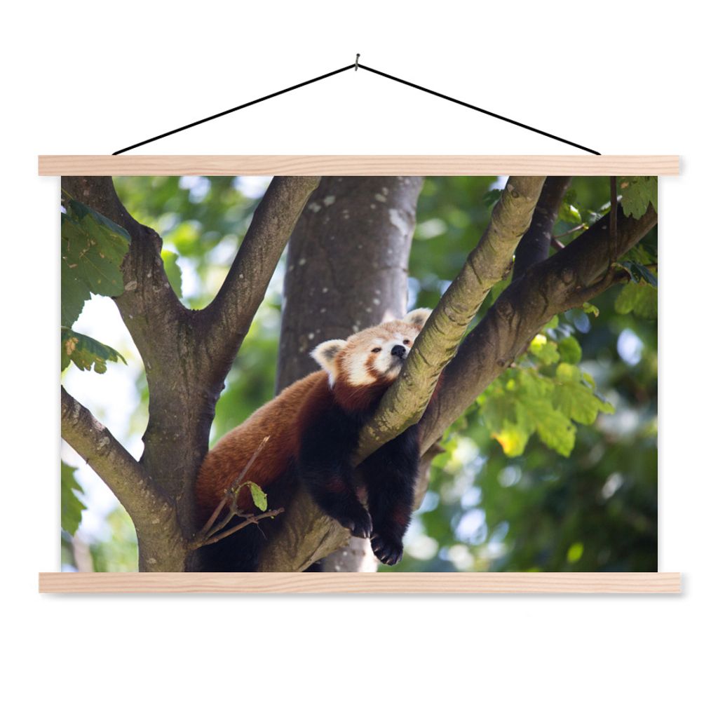 MuchoWow Textilposter Panda - Rot - Holz 60x40 cm mit holzfarbenen Rahmen - Bilder