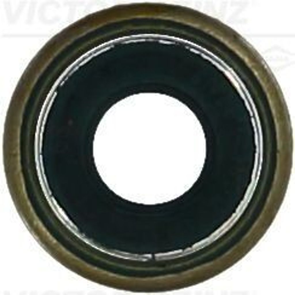 REINZ Ventilschaftdichtung Ventilschaftdichtung 70-37103-00 Auslassseite für IVECO AFRIWAY