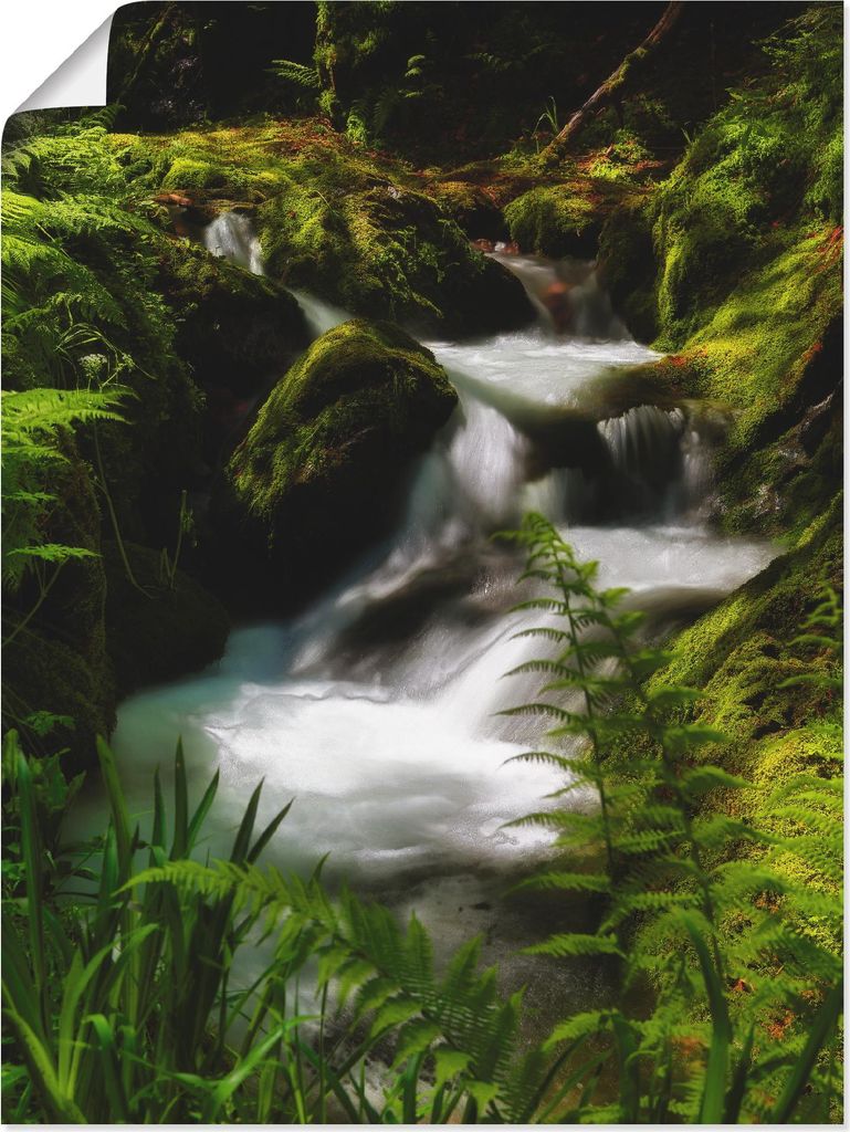 ARTland Poster Zauberbach Größe: 60x80 cm