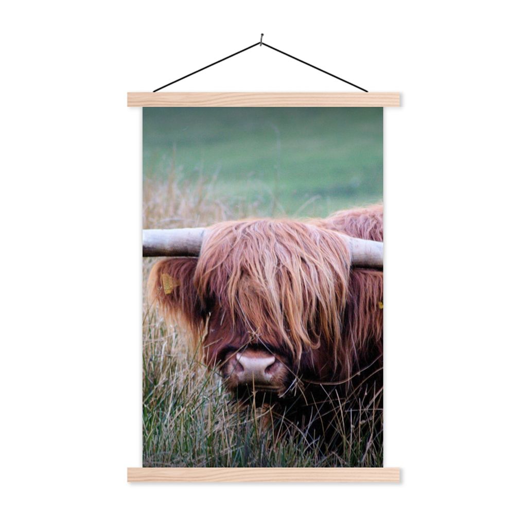 MuchoWow Textilposter Schottischer Highlander - Hörner - Gras 60x90 cm mit holzfarbenen Rahmen - Textil