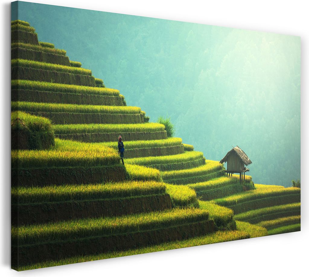 Leinwandbild (60x40cm): Regen-Wald Berg-Hang bewachsen grün Natur Regen, echter Holz-Keilrahmen inkl. Aufhänger, handgefertigt in Deutschland