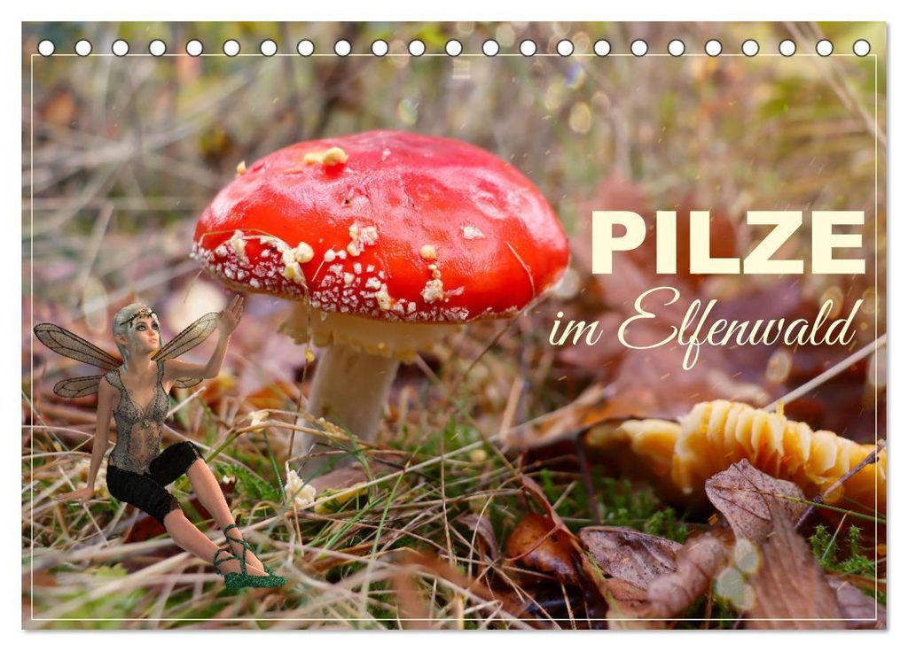 Pilze im Elfenwald (Tischkalender 2027 DIN A5 quer), CALVENDO Monatskalender