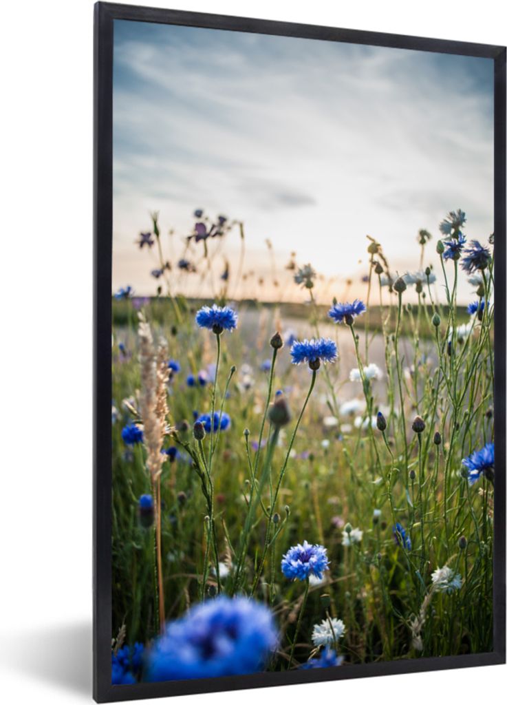 MuchoWow MuchoWow Gerahmtes Poster Blumen - Sommer - Kornblume - Blau - Sonne - Wolken 20x30 cm - Poster mit zchwarzem Bilderrahmen - Drucken -...
