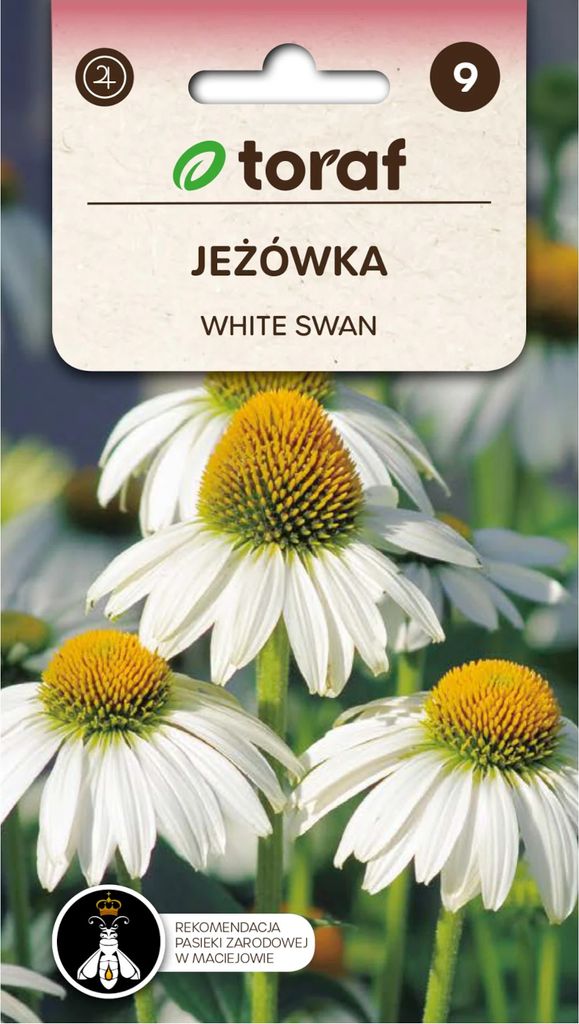 Jeżówka biała WHITE SWAN 0,2g Zdjęcie produktu 