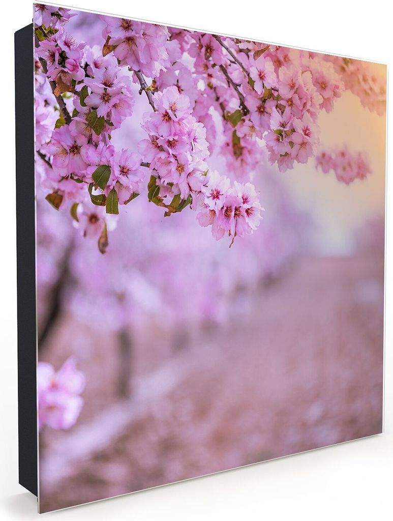 Nachbildung-Schlüsselkasten, Magnetpinnwand und Memoboard mit Glasfront Motiv Blüten am Weg