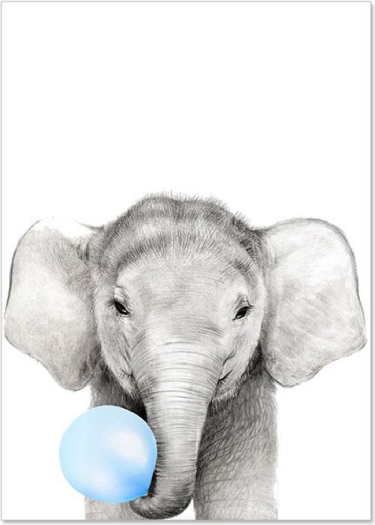 TPFLiving Kunstdruck LW-1319 (OHNE RAHMEN) Poster - Leinwand - Wandbild - Hochauflösender Giclée-Druck, langlebig und hochwertig - Tiere mit Luft...