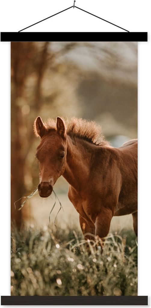 MuchoWow Textilposter Pferd - Licht - Wiese 60x120 cm mit schwarzem Rahmen - Magnete