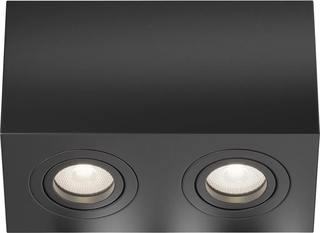 Plafoniera Deluxe Alluminio Nero 2 Luci 20cm | Illuminazione Loft