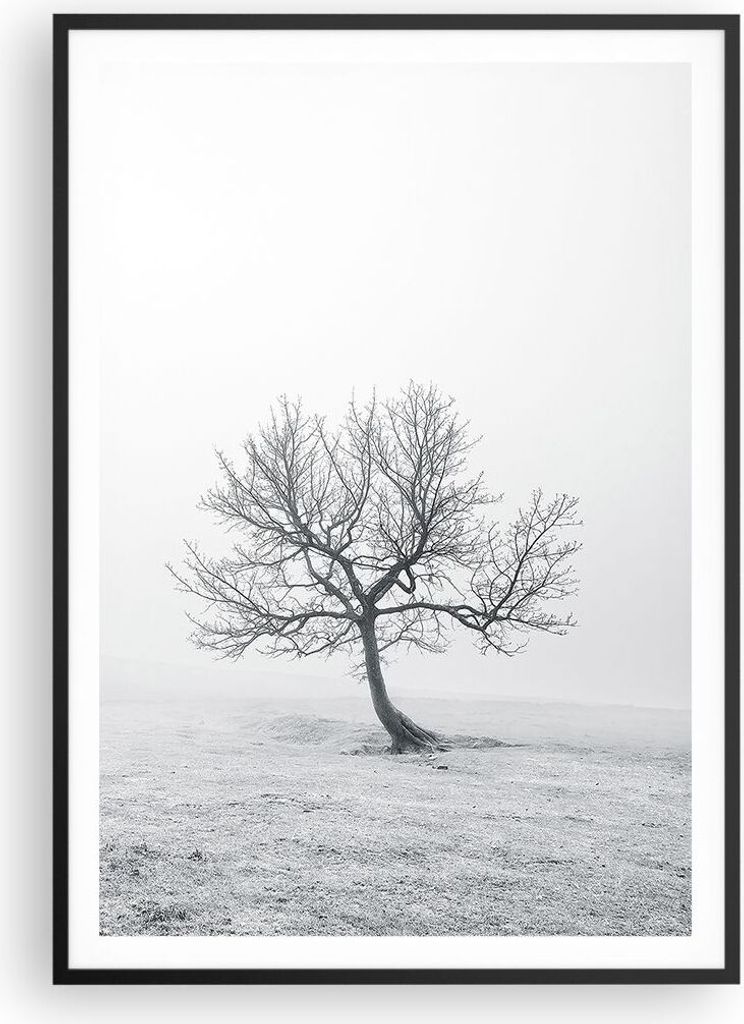 Gerahmtes Poster - Schwarzer Rahmen - Baum Feld Natur - 70x100 cm - Wand Bild - Wanddeko - Wandbilder - Kunstposter - Wandposter - Bilderrahmen - B...