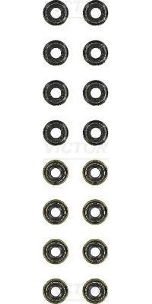 Kit Joints de Soupape 036109675A Haute Résistance pour Moteur VAG 8X