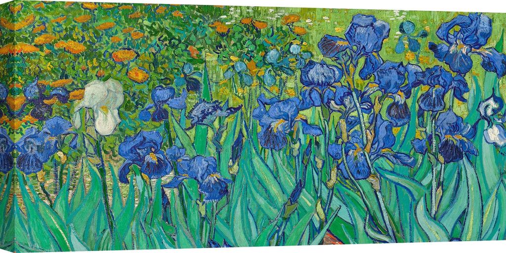 Leinwandbilder - Vincent van Gogh - Irises - 70x35 cm