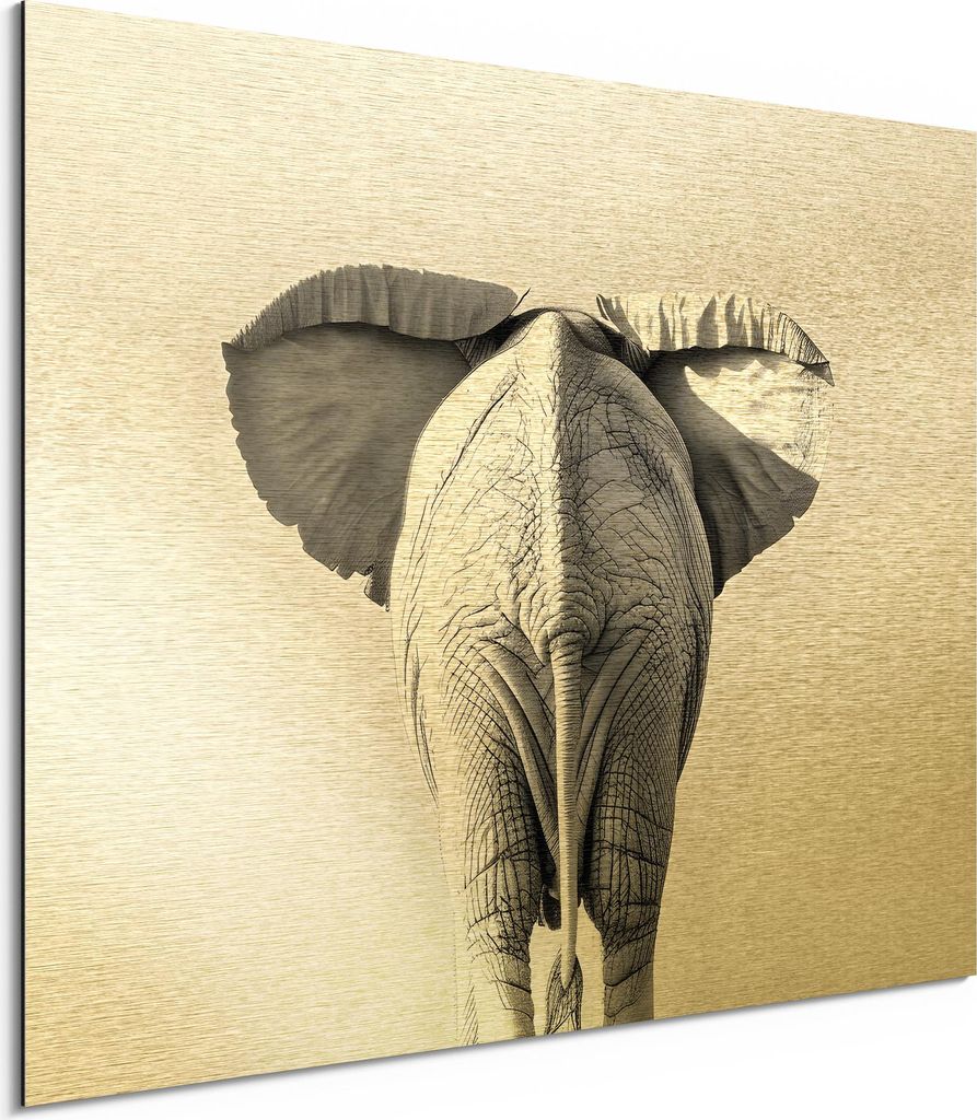 DEQORI Alu-Dibond Bild Gold 80x60 cm 'Elefant auf Kurs' Wandbild Metall dünn Design