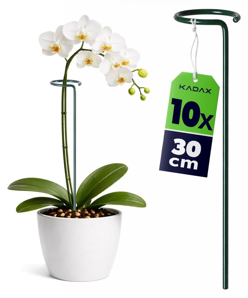 KADAX Blumenstützen 30 cm, 10er Set, Pflanzenstützen aus Stahl, Orchideenstäbe zur Stabilisierung von Stängeln und Blüten, Blumenhalter für O...