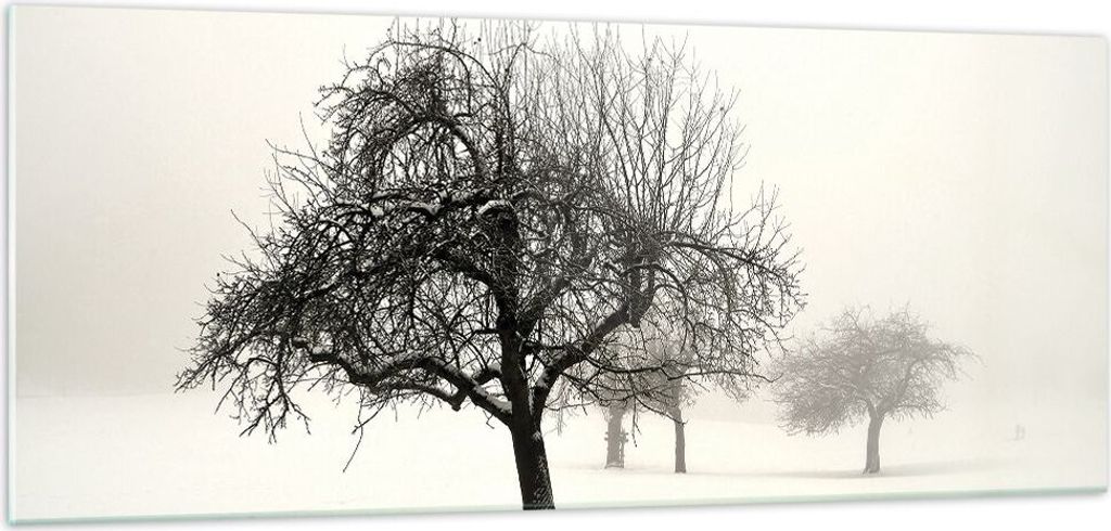 Bilder auf glas - Einteilig - Bäume Schnee Nebel - 100x40cm - Glasbilder - Wandbilder - Bilder - zum Aufhängen bereit - Wanddekoration aus Glas -...