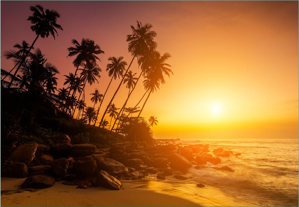 Wallario Fototapete Vliestapete, seidenmatte Oberfläche, einfache Verarbeitung, Größe 200 x 140 cm, Motiv Kokospalmen am Abend - Sonnenuntergang...