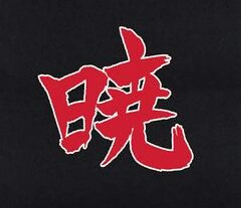 Sac à Dos Akatsuki Naruto Confortable avec Compartiment Ordinateur 15" - 9