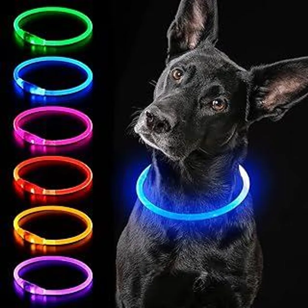 Collare Luminoso Cani iTayga Blu USB - Sicurezza Notturna Impermeabile