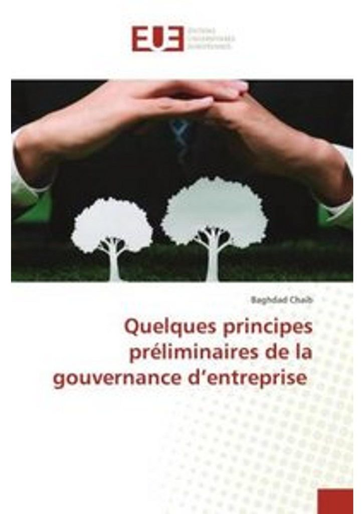 Quelques principes préliminaires de la gouvernance d'entreprise