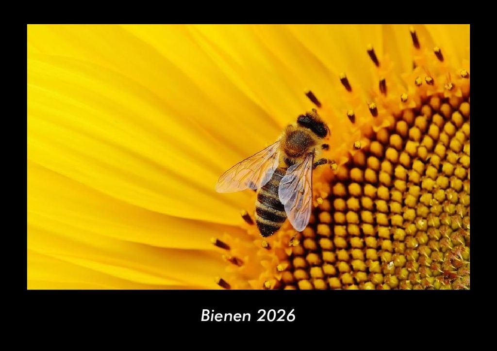 Bienen 2026 Fotokalender - Querformat DIN A3, Monatskalender mit Bild-Motiven von Haustieren, Bauernhof, wilden Tieren und Raubtieren