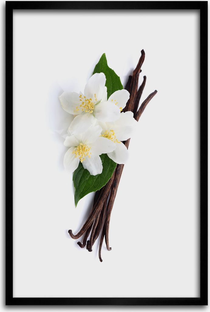 Bild - Bilderrahmen - 40 cm x 60 cm - MDF - Rahmen - Wandkunst - Jasmin und Vanille