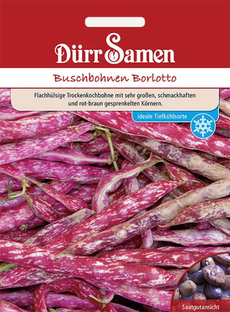 Dürr-Samen - Buschbohnen Borlotto (Beckenbullen) - Saatgut Produktbild 
