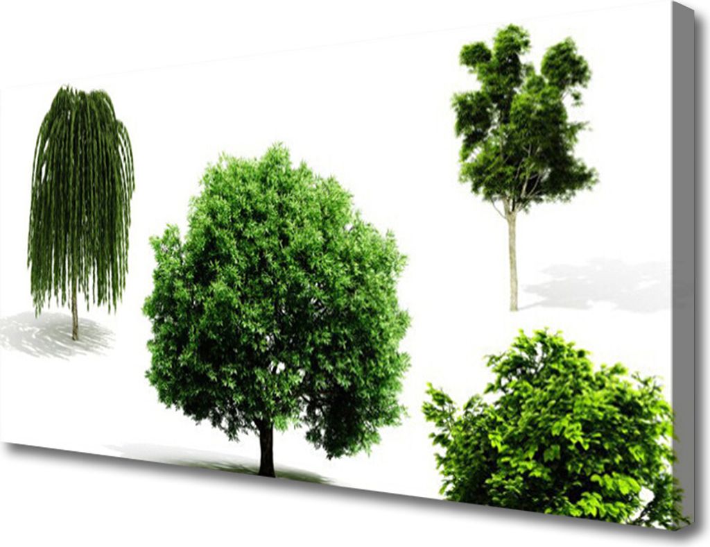 Tulup Leinwand-Bilder 100x50 Wandbild Canvas Kunstdruck Bäume Natur
