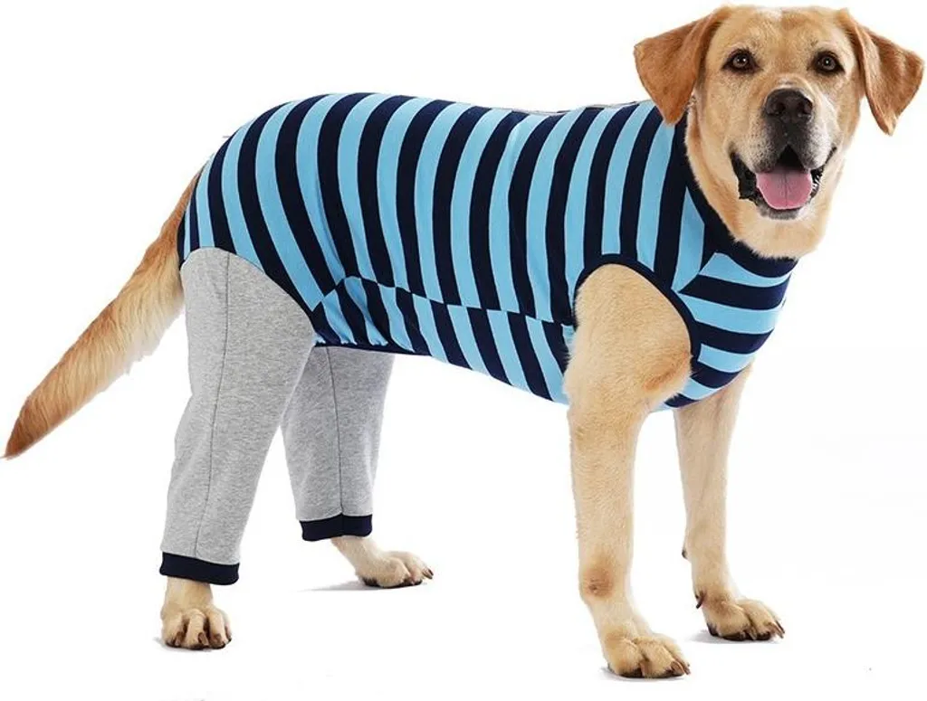 Cappottino Cane INF Autunno Inverno Blu Taglia L - Urban Style Corgi
