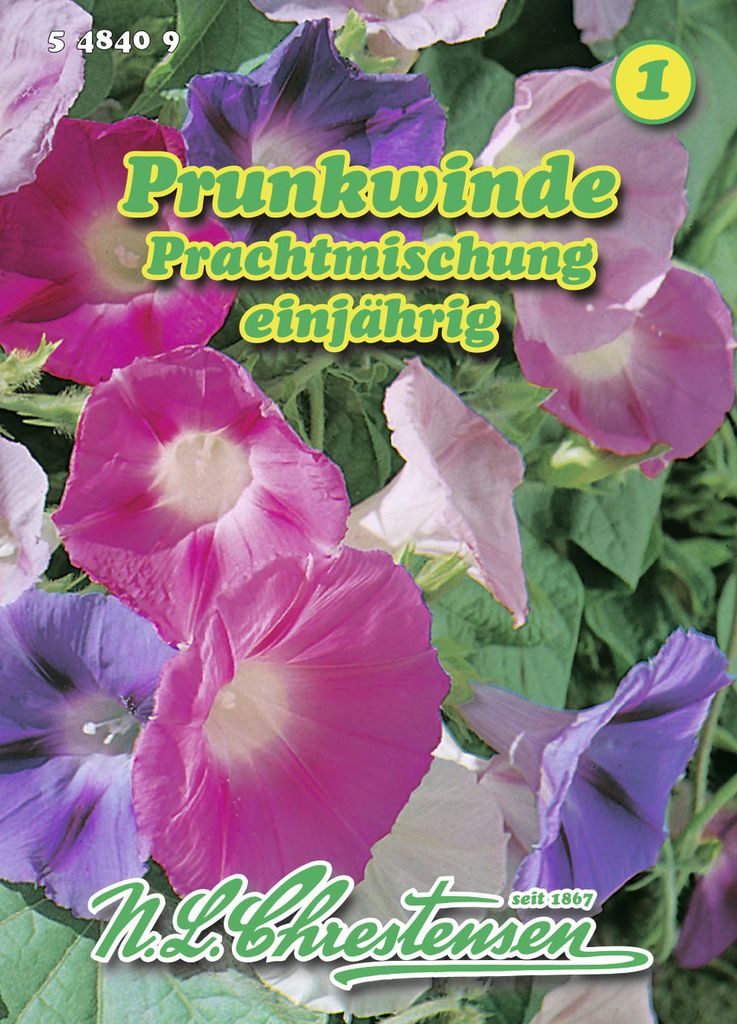 Prunkwinde PrachtMischung | Windensamen von N.L. Chrestensen