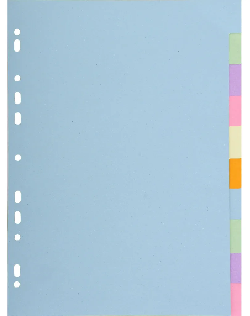 Intercalaires Exacompta robustes 10 pos A4 carte 170g pastel 1610E
