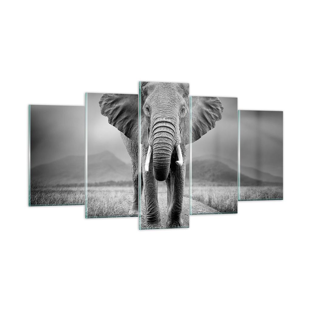 Bilder auf glas - 5 Teile - Elefant Wildnis Natur - 160x85cm - Glasbilder - Wandbilder - Bilder - zum Aufhängen bereit - Wanddekoration aus Glas -...