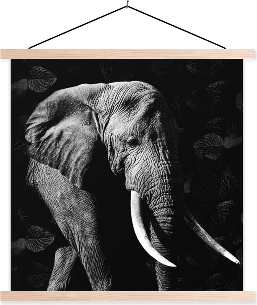 MuchoWow Textilposter Elefant - Zähne - Schwarz - Weiß 40x40 cm mit holzfarbenen Rahmen - Posterleiste