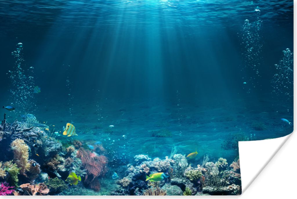 MuchoWow Poster Ozean - Fische - Korallen 60x40 cm - Schlafzimmerdekoration