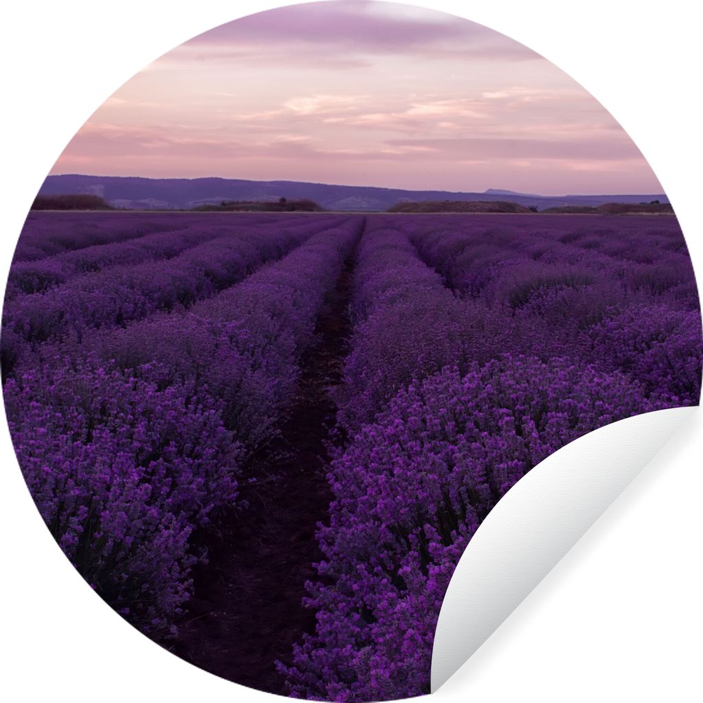 MuchoWow Runde Wandtattoo - Wandsticker Tapete Aufkleber Lavendel - Lila - Blumen - Natur Ø 30 cm Selbstklebend und Repositionierbar - Wandaufkl...