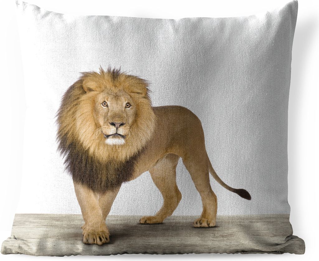 MuchoWow Outdoor Kissen - Jungen - Löwe - Tiere - Kinder - Mädchen - 60x60 cm - Wetterfest - Lounge Kissen - Dekoration - Schlaf Kissen