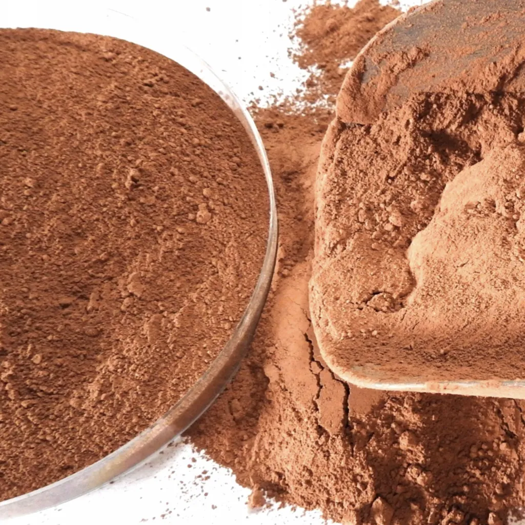 Argilla per Terrari 2kg Substrato Modellabile Grotte e Sfondi Naturali