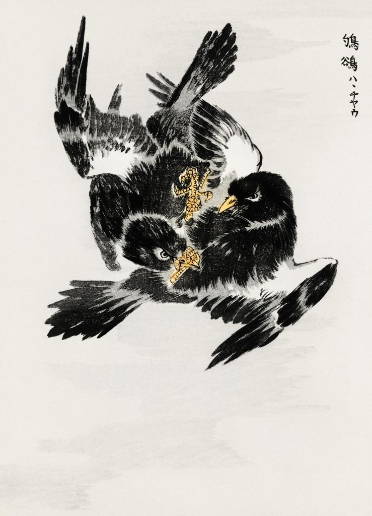 Plakat 20,5x28,4cm Dschungelnachtschwalbe, Japanischer Vintage Kashu für das Wohnzimmer