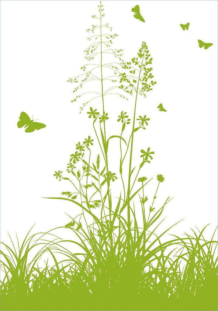 Wallario selbstklebendes Poster - Grüne Sommerwiese, Größe: 70 x 100 cm